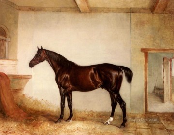  chevaux Peintre - Un chasseur de la baie dans un cheval de course Loose Box John Ferneley Snr